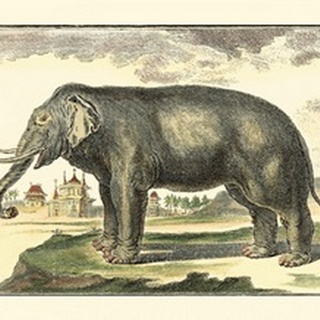 Diderot Elephant