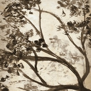 Simple Branches I