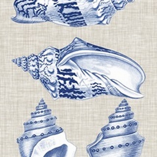 Navy and Linen Shells II