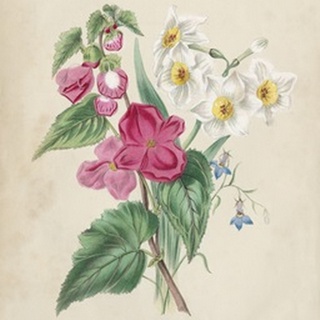 Antique Garden Bouquet IV