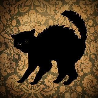 Cat and Damask