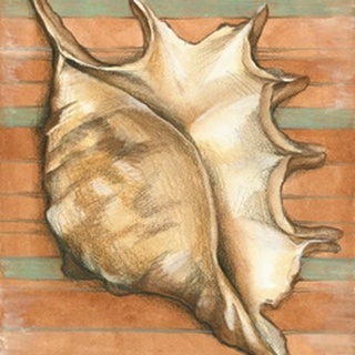 Shell on Stripes II