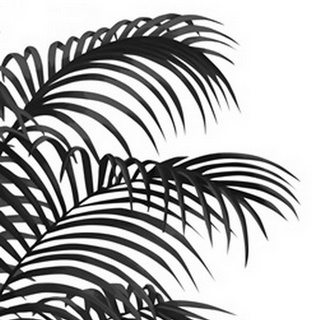 Palm Leaf 1, Black On White