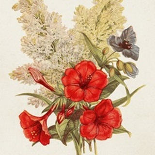 Antique Floral Bouquet V