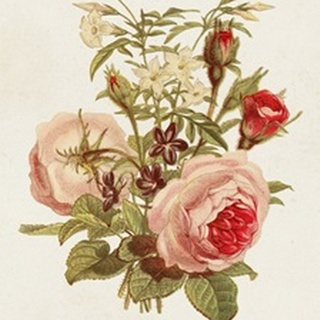 Antique Floral Bouquet III