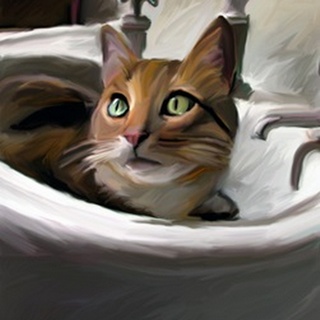 Orange Cat in the Sink