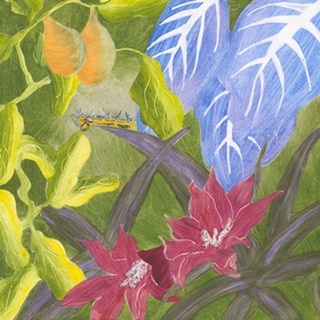 Tropical Monotype V