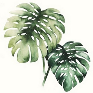 Tropical Plant II