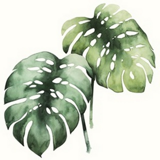 Tropical Plant I