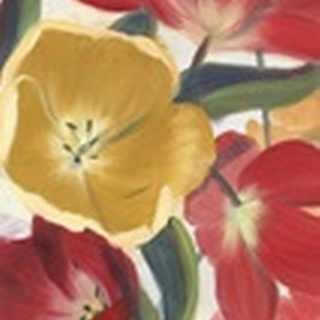 Tulip Array Panel I