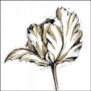 Tulip Sketch III
