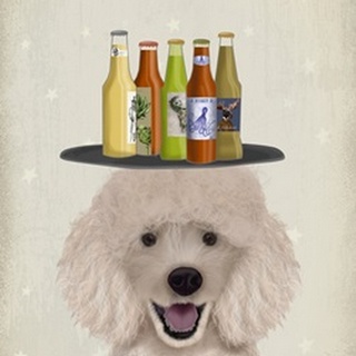 Poodle Beer Lover