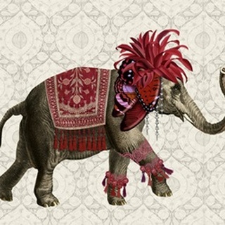 Niraj Elephant, Red