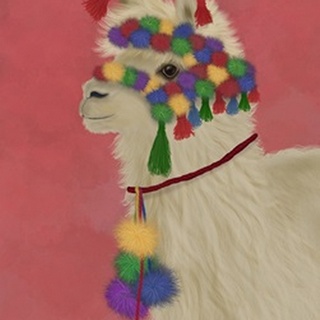 Llama Traditional 2, Portrait