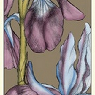 Graphic Flower Panel III