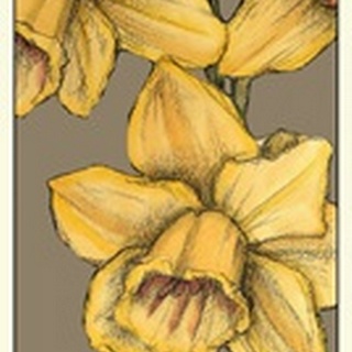Graphic Flower Panel IV