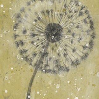 Dandelion Abstract I