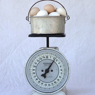Eggs on Scale