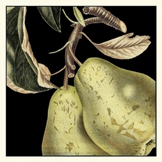 Dramatic Pear