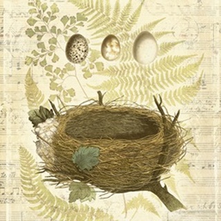 Melodic Nest and Eggs II