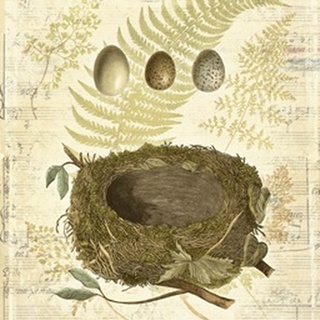 Melodic Nest and Eggs I
