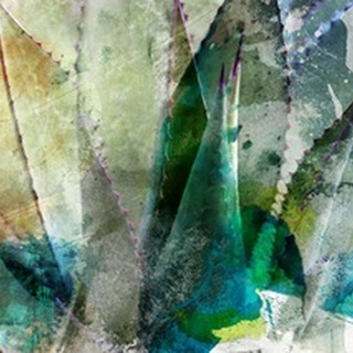 Agave Abstract II