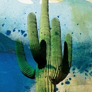 Cactus Abstract