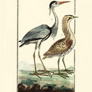 Buffon Cranes and Herons III