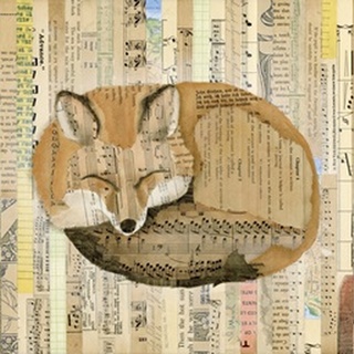 Red Fox Collage III