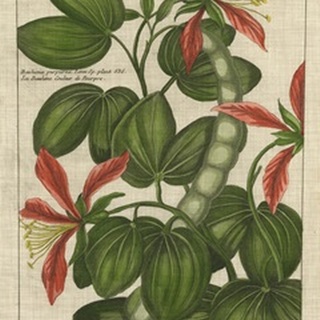 Botanical Study on Linen VI