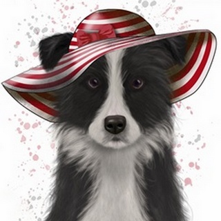 Border Collie in Red and White Floppy Hat
