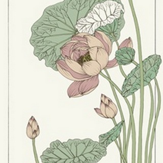 Botanical Gloriosa Lotus II