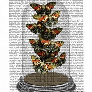 Multicoloured Butterflies in Bell Jar