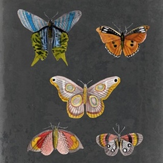 Butterflies on Slate II
