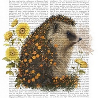 Floralessence Hedgehog 1