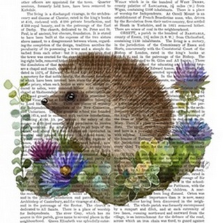 Hedgehog In Flowers