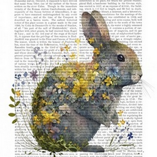 Floralessence Rabbit 1