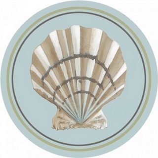 Riviera Shell Collection B