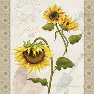 Romantic Sunflowers Collection B
