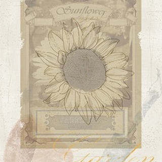 Romantic Sunflowers Collection F