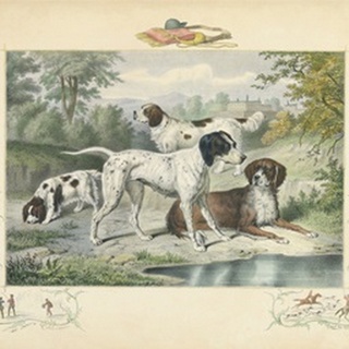 A Group of Spaniels