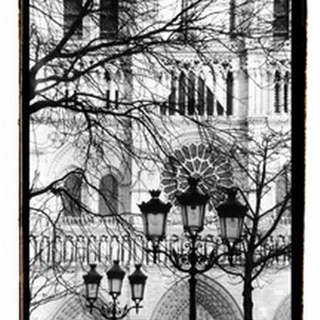 Notre Dame Cathedral II