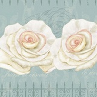 Cream Rose Collection B