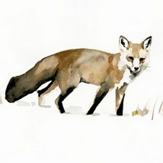 Winter Fox I