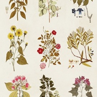 Antique Floral Grid I