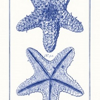 Blue Sea Stars IV