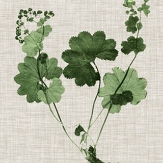 Forest Foliage on Linen I