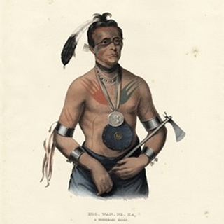 A Winnebago Chief