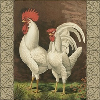 Cassell's Roosters with Border VI
