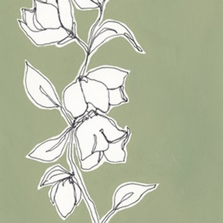 Botanic Drawing II